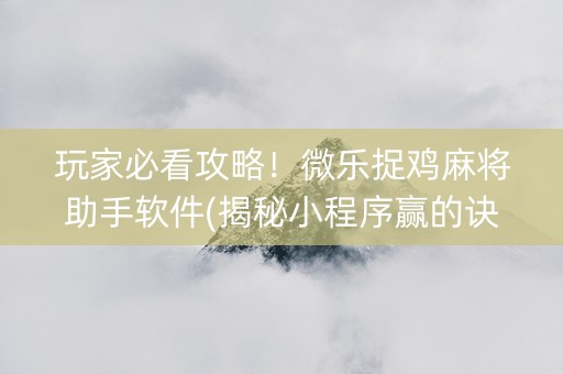 玩家必看攻略！微乐捉鸡麻将助手软件(揭秘小程序赢的诀窍)