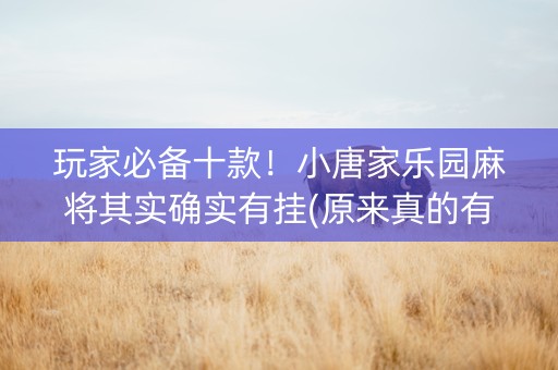 玩家必备十款！小唐家乐园麻将其实确实有挂(原来真的有挂)