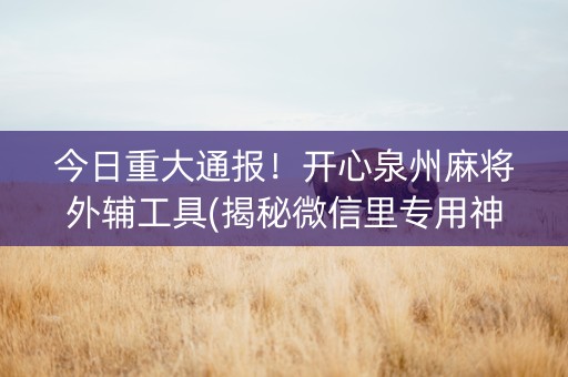 今日重大通报！开心泉州麻将外辅工具(揭秘微信里专用神器)