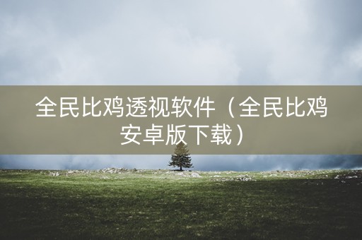 全民比鸡透视软件（全民比鸡安卓版下载）
