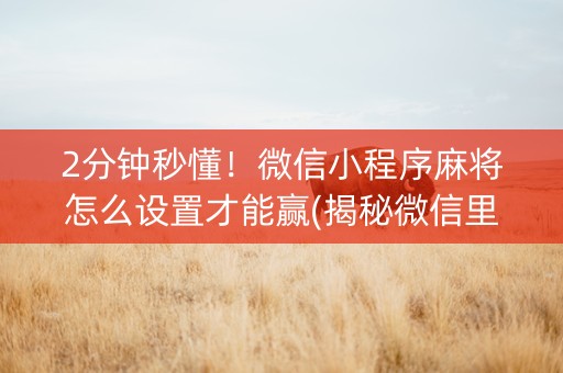 2分钟秒懂！微信小程序麻将怎么设置才能赢(揭秘微信里助赢神器)