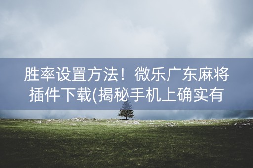 胜率设置方法！微乐广东麻将插件下载(揭秘手机上确实有猫腻)