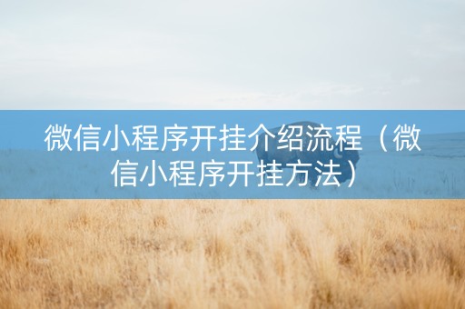 微信小程序开挂介绍流程（微信小程序开挂方法）
