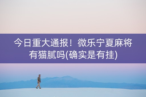 今日重大通报！微乐宁夏麻将有猫腻吗(确实是有挂)