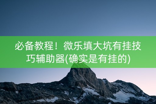 必备教程！微乐填大坑有挂技巧辅助器(确实是有挂的)