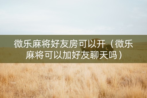 微乐麻将好友房可以开（微乐麻将可以加好友聊天吗）