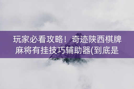 玩家必看攻略！奇迹陕西棋牌麻将有挂技巧辅助器(到底是不是有挂)