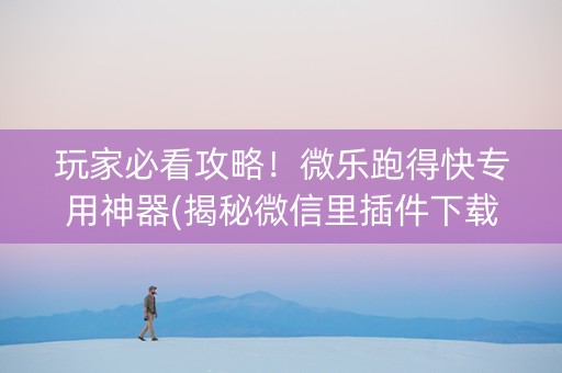 玩家必看攻略！微乐跑得快专用神器(揭秘微信里插件下载)