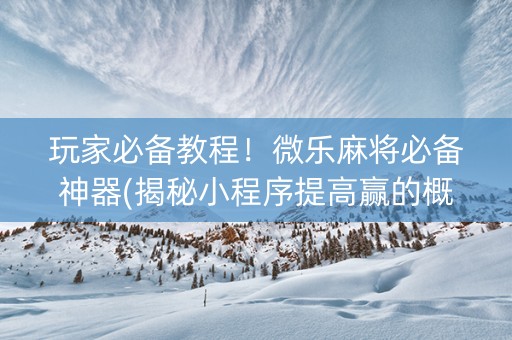 玩家必备教程！微乐麻将必备神器(揭秘小程序提高赢的概率)