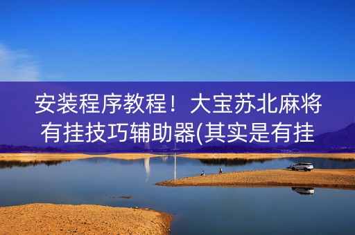 安装程序教程！大宝苏北麻将有挂技巧辅助器(其实是有挂确实有挂)