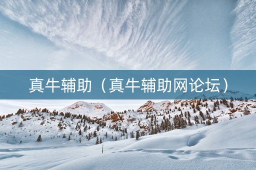 真牛辅助（真牛辅助网论坛）