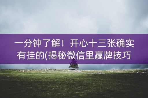 一分钟了解！开心十三张确实有挂的(揭秘微信里赢牌技巧)