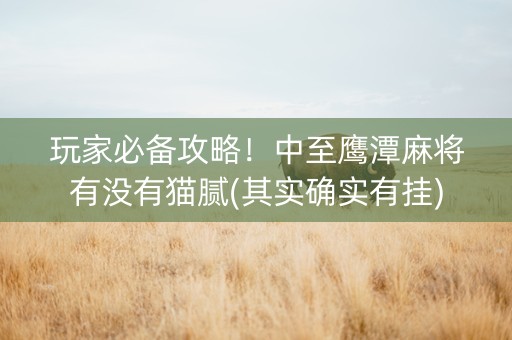 玩家必备攻略！中至鹰潭麻将有没有猫腻(其实确实有挂)