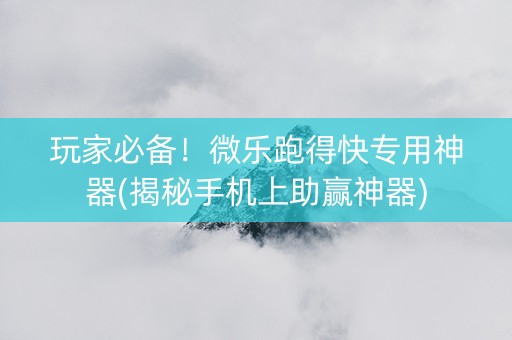 玩家必备！微乐跑得快专用神器(揭秘手机上助赢神器)
