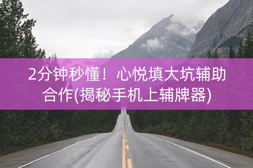 2分钟秒懂！心悦填大坑辅助合作(揭秘手机上辅牌器)
