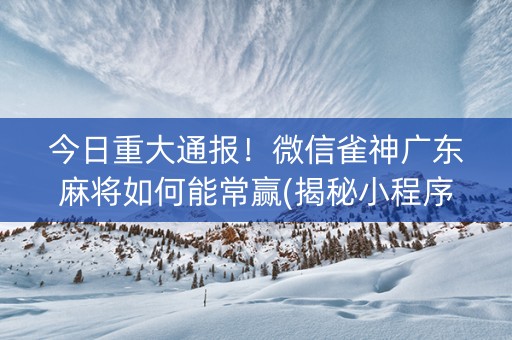 今日重大通报！微信雀神广东麻将如何能常赢(揭秘小程序系统发好牌)
