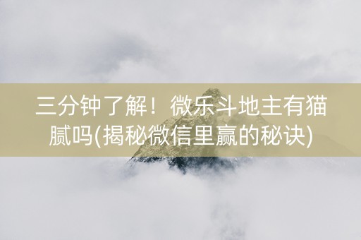 三分钟了解！微乐斗地主有猫腻吗(揭秘微信里赢的秘诀)