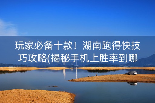 玩家必备十款！湖南跑得快技巧攻略(揭秘手机上胜率到哪调)
