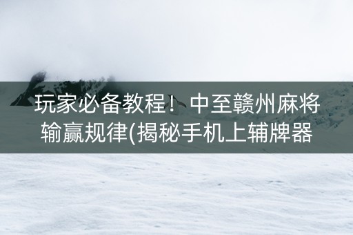 玩家必备教程！中至赣州麻将输赢规律(揭秘手机上辅牌器)