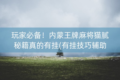 玩家必备！内蒙王牌麻将猫腻秘籍真的有挂(有挂技巧辅助器)