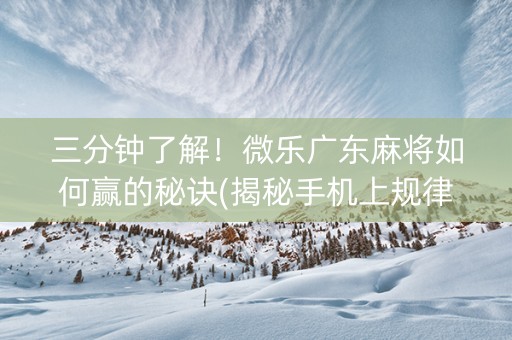三分钟了解！微乐广东麻将如何赢的秘诀(揭秘手机上规律攻略)