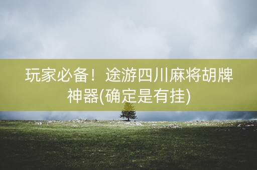 玩家必备！途游四川麻将胡牌神器(确定是有挂)