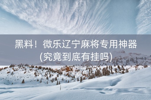黑料！微乐辽宁麻将专用神器(究竟到底有挂吗)