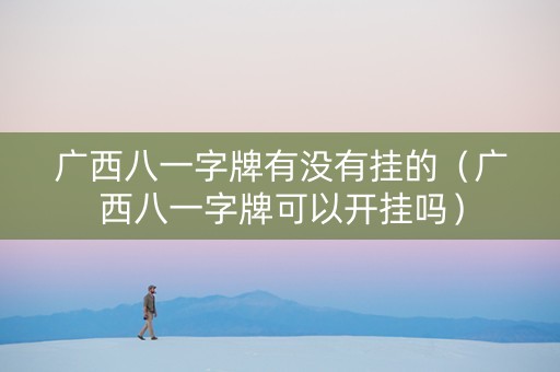 广西八一字牌有没有挂的（广西八一字牌可以开挂吗）