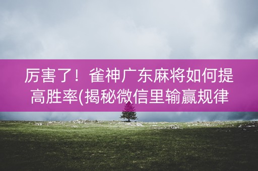 厉害了！雀神广东麻将如何提高胜率(揭秘微信里输赢规律)