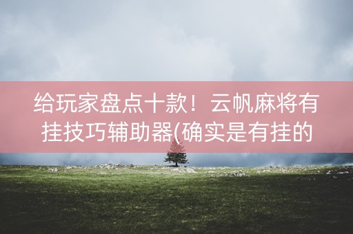 给玩家盘点十款！云帆麻将有挂技巧辅助器(确实是有挂的)