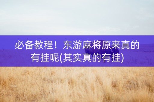 必备教程！东游麻将原来真的有挂呢(其实真的有挂)