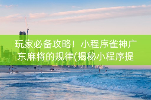 玩家必备攻略！小程序雀神广东麻将的规律(揭秘小程序提高赢的概率)