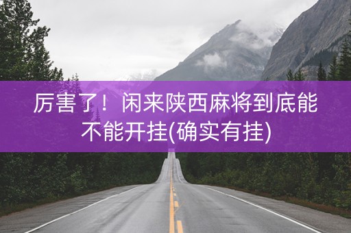 厉害了！闲来陕西麻将到底能不能开挂(确实有挂)