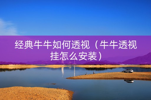 经典牛牛如何透视（牛牛透视挂怎么安装）