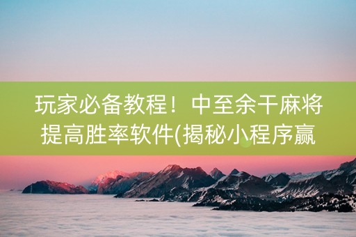 玩家必备教程！中至余干麻将提高胜率软件(揭秘小程序赢的诀窍)