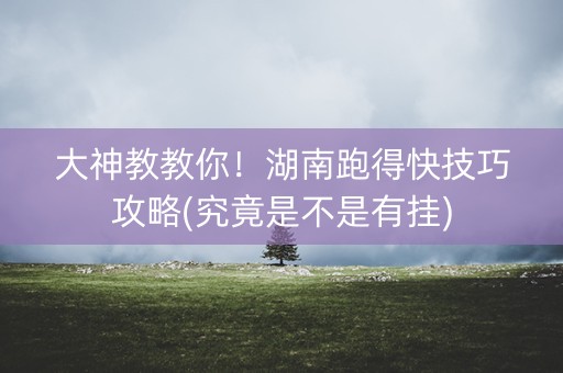 大神教教你！湖南跑得快技巧攻略(究竟是不是有挂)