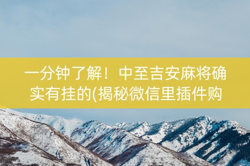 一分钟了解！中至吉安麻将确实有挂的(揭秘微信里插件购买)