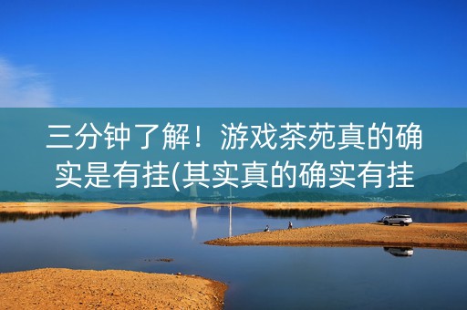 三分钟了解！游戏茶苑真的确实是有挂(其实真的确实有挂)
