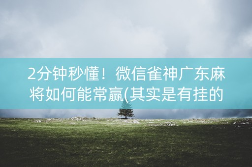 2分钟秒懂！微信雀神广东麻将如何能常赢(其实是有挂的)