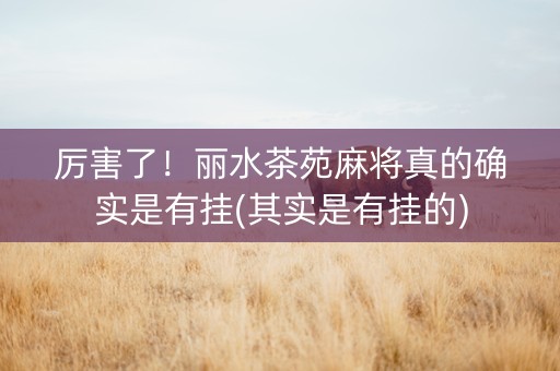 厉害了！丽水茶苑麻将真的确实是有挂(其实是有挂的)