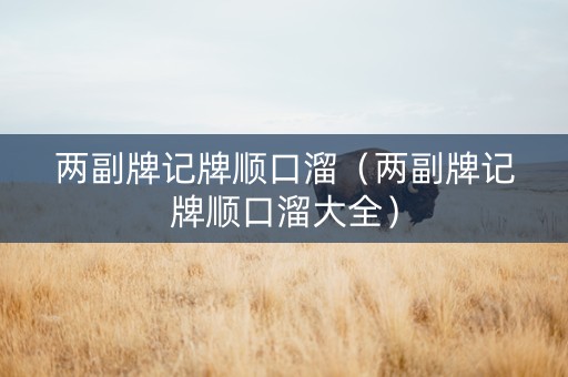 两副牌记牌顺口溜（两副牌记牌顺口溜大全）
