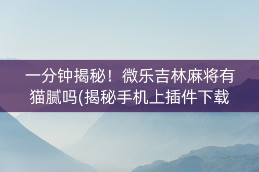 一分钟揭秘！微乐吉林麻将有猫腻吗(揭秘手机上插件下载)