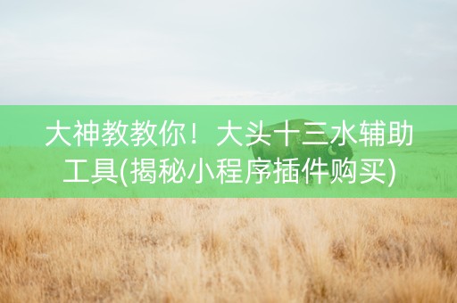 大神教教你！大头十三水辅助工具(揭秘小程序插件购买)