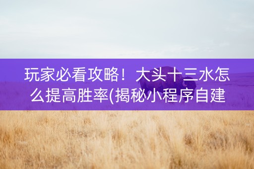 玩家必看攻略！大头十三水怎么提高胜率(揭秘小程序自建房怎么赢)
