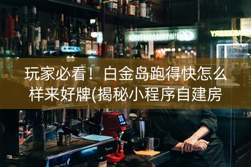 玩家必看！白金岛跑得快怎么样来好牌(揭秘小程序自建房怎么赢)