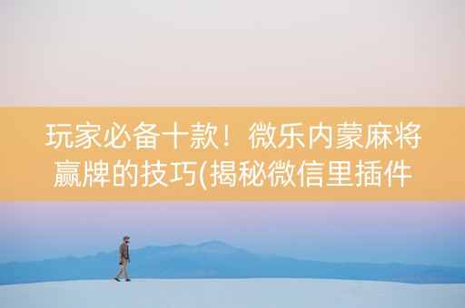 玩家必备十款！微乐内蒙麻将赢牌的技巧(揭秘微信里插件购买)