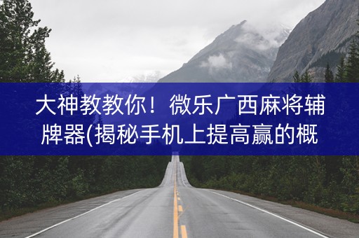 大神教教你！微乐广西麻将辅牌器(揭秘手机上提高赢的概率)