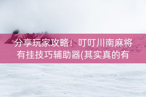 分享玩家攻略！叮叮川南麻将有挂技巧辅助器(其实真的有挂)