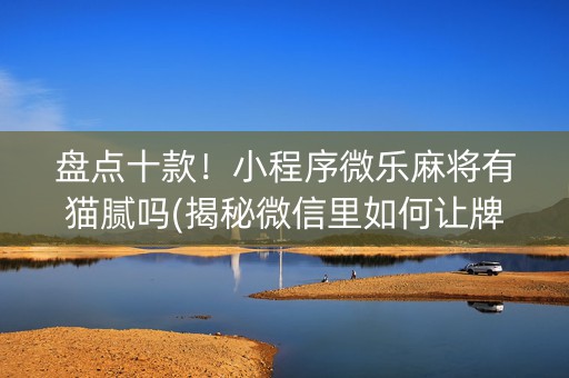 盘点十款！小程序微乐麻将有猫腻吗(揭秘微信里如何让牌变好)