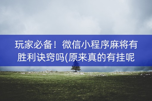 玩家必备！微信小程序麻将有胜利诀窍吗(原来真的有挂呢)